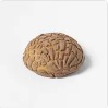 Concha Chocolate